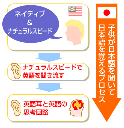 子供が日本語を聞いて日本語を覚えるプロセス